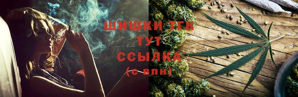 гидра Баксан