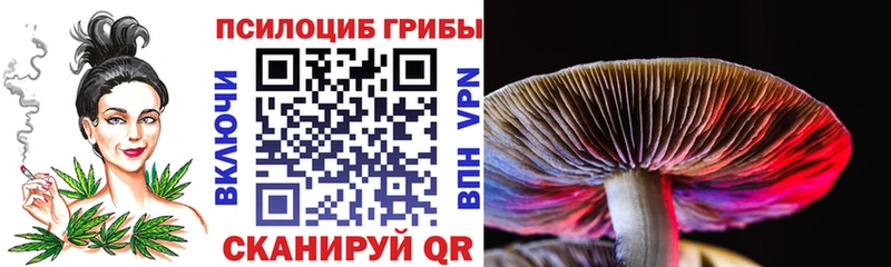 kraken как зайти  Куртамыш  Псилоцибиновые грибы GOLDEN TEACHER 