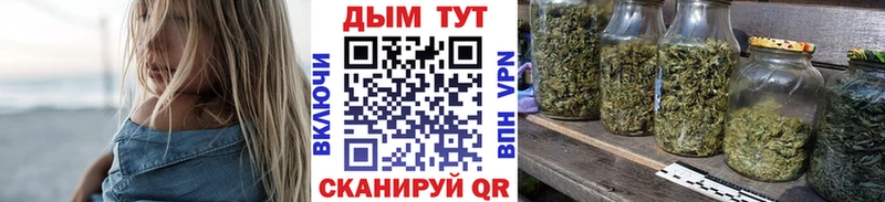 купить   Куртамыш  Каннабис White Widow 